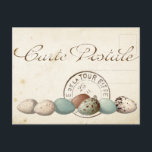 Carte Postale Bird Set 1 av 4 (Postmark Eggs) Vykort<br><div class="desc">En del av en fyrdelad uppsättning. Vintage av ett vykort med "Carte Postale"-rubrik och poststämpel för Fransken bredvid en rad med vackert färgad fågelägg: spräckt,  brunt och blått. Baksidan kommer från baksidan av ett vykort för vintagens Fransk.</div>