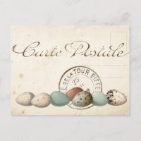 Carte Postale Bird Set 1 av 4 (Postmark Eggs)