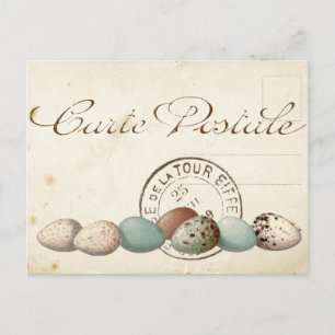 Carte Postale Bird Set 1 av 4 (Postmark Eggs) Vykort