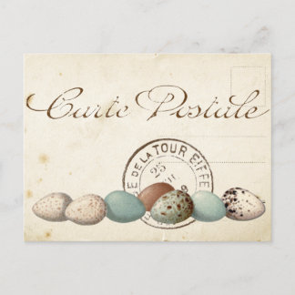 Carte Postale Bird Set 1 av 4 (Postmark Eggs) Vykort