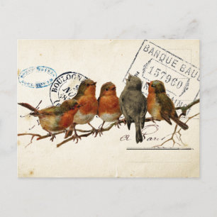 Carte Postale Bird Set 3 av 4 (European Robins) Vykort