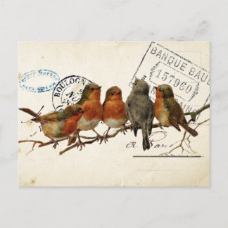 Carte Postale Bird Set 3 av 4 (European Robins) Vykort