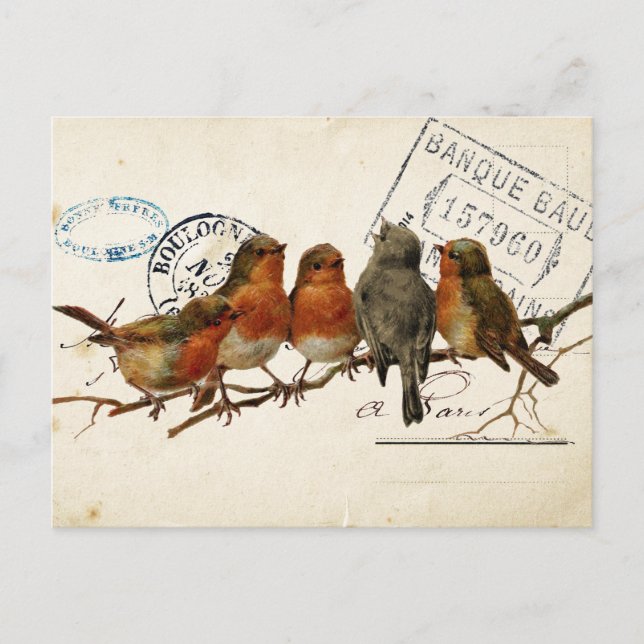 Carte Postale Bird Set 3 av 4 (European Robins) Vykort (Framsida)