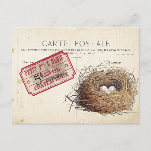 Carte Postale Bird Set 4 av 4 (Birds Nest Biljett) Vykort (Framsida)