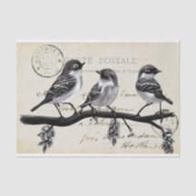 Carte Postale Birds på Gren (vykort för Fransk)