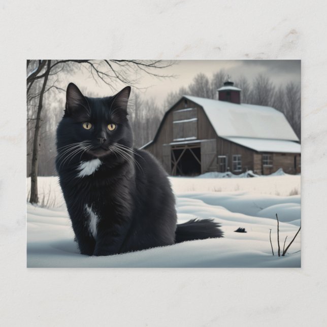 Carte Postale Black Cat  Série 2 02 Vykort (Framsida)