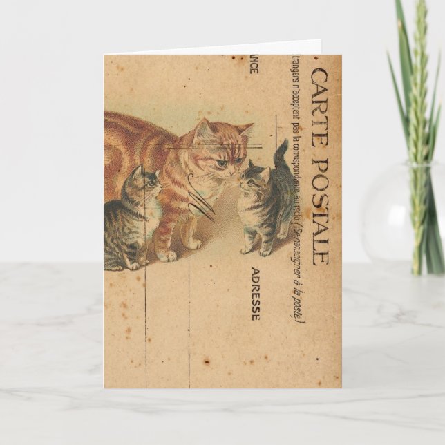 Carte Postale Cats Digital Art Birgday Kort (Framsida)