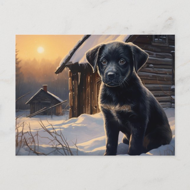 Carte postale Chien 5-0 Vykort (Framsida)
