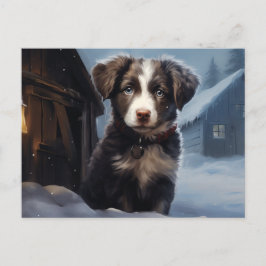 Carte postale Chien 5-15 Vykort