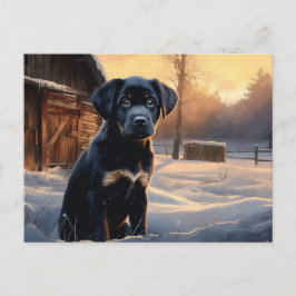 Carte postale Chien 5-3 Vykort