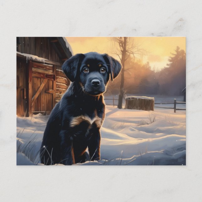 Carte postale Chien 5-3 Vykort (Framsida)