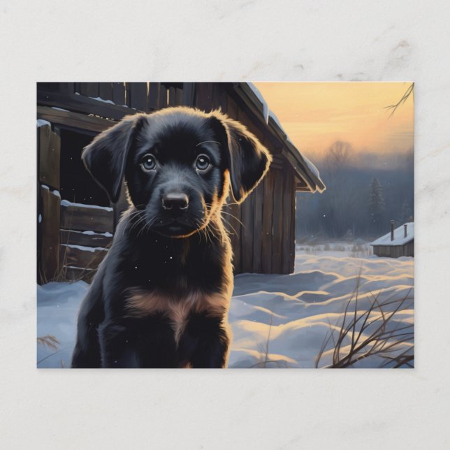 Carte postale Chien 5-5 Vykort (Framsida)