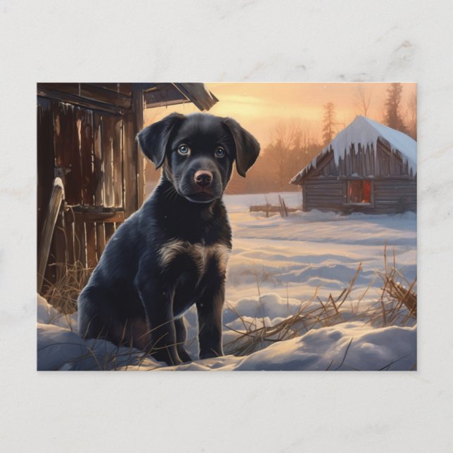Carte postale Chien 5-6 Vykort (Framsida)