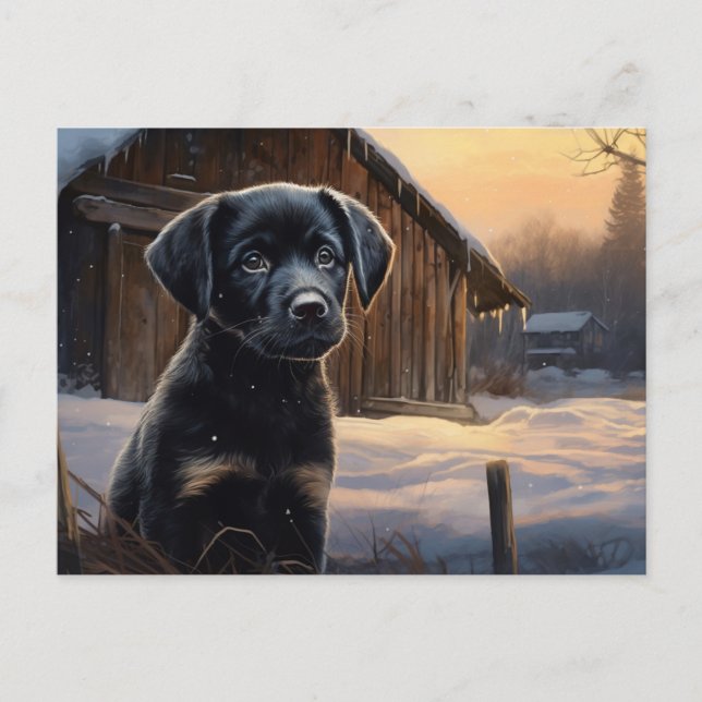 Carte postale Chien 5-8 Vykort (Framsida)