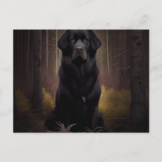 Carte Postale Chien Divers Vykort (Framsida)