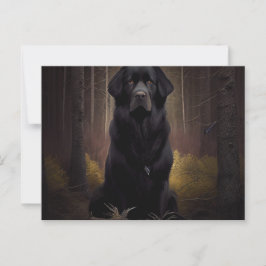 Carte Postale Chien Divers Vykort