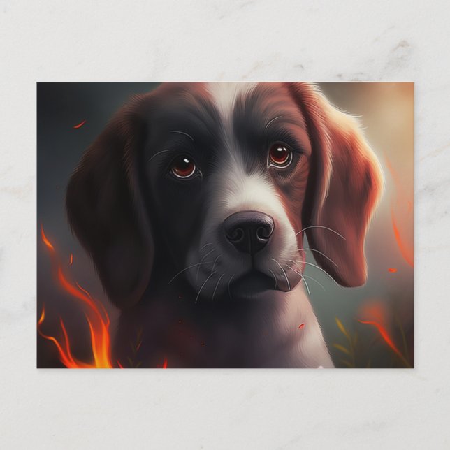 Carte Postale Chien Divers Vykort (Framsida)