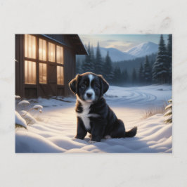Carte Postale Chien Série 6 08 Vykort