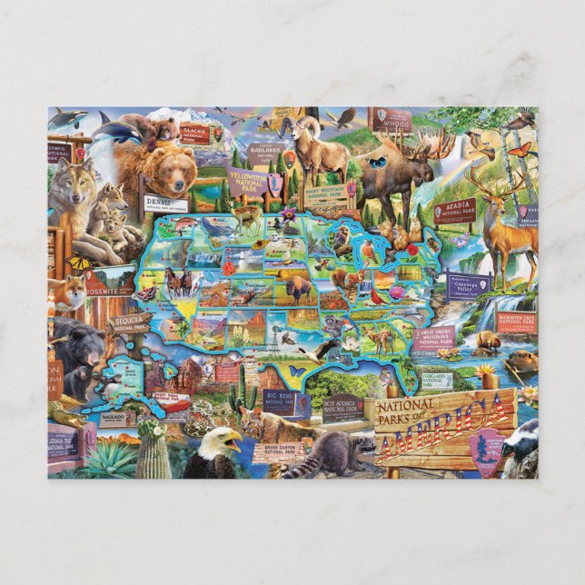 Carte Postale Collage parcs nationaux américains Vykort (Framsida)