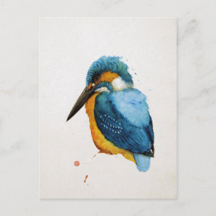 Carte Postale Dessin merle Vykort