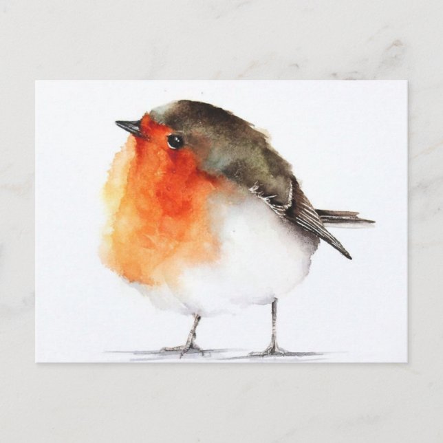 Carte Postale Dessin rouge gorge Vykort (Framsida)