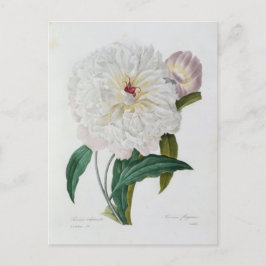 Carte Postale Fleurs 10 Vykort