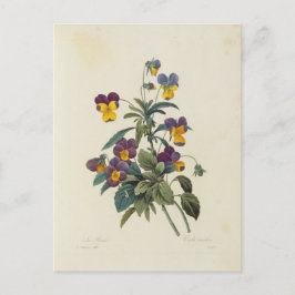 Carte Postale Fleurs 13 Vykort