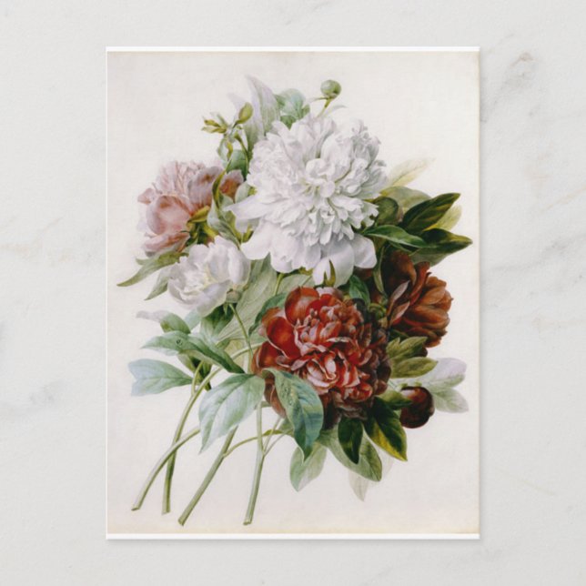 Carte Postale Fleurs 15 Vykort (Framsida)