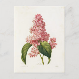 Carte Postale Fleurs 16 Vykort