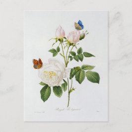 Carte Postale Fleurs 18 Vykort