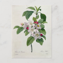 Carte Postale Fleurs 19 Vykort