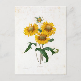 Carte Postale Fleurs 7 Vykort