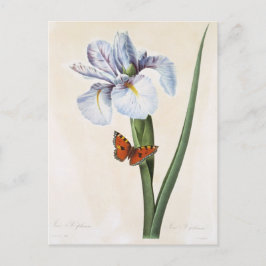 Carte Postale Fleurs 8 Vykort