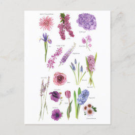 Carte Postale Fleurs bleu violet Vykort
