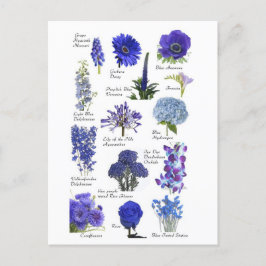 Carte Postale Fleurs bleu Vykort