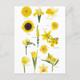 Carte Postale Fleurs jaune Vykort