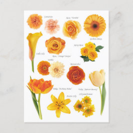 Carte Postale Fleurs orange Vykort