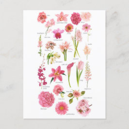 Carte Postale Fleurs rose Vykort