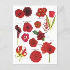 Carte Postale Fleurs rouge Vykort