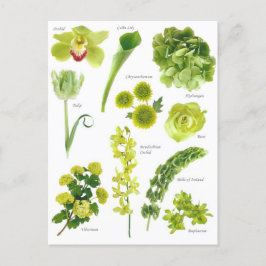 Carte Postale Fleurs vert Vykort