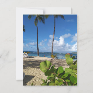 Carte postale Guadeloupe Vykort