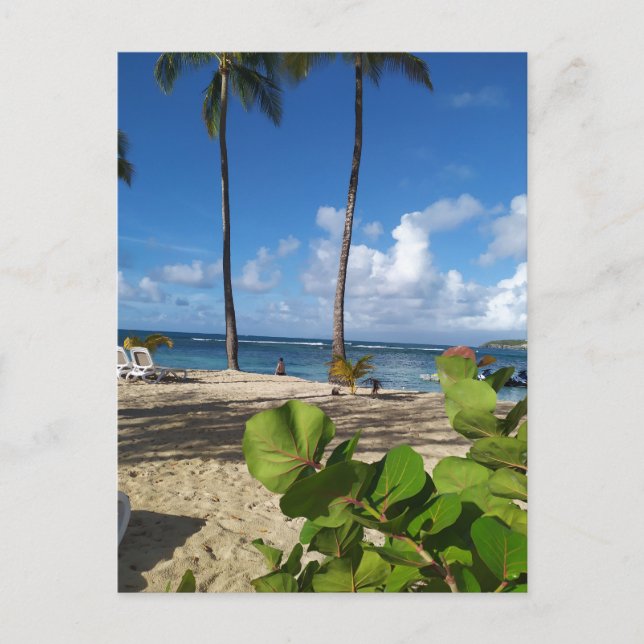 Carte postale Guadeloupe Vykort (Framsida)