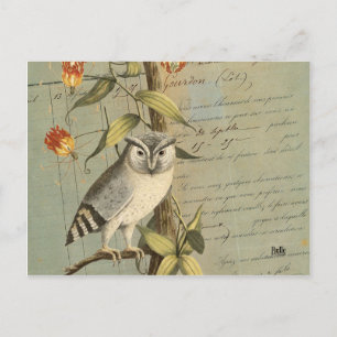 Carte postale hibou vykort