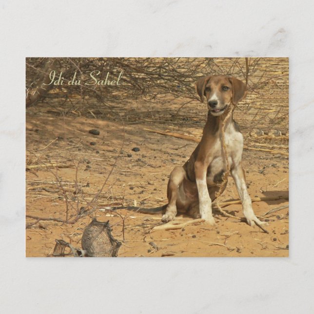 Carte postale Idi du Sahel Vykort (Framsida)