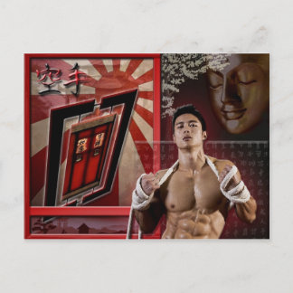 Carte postale Karate Vykort