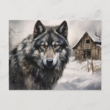 Carte postale Loup Série 1-5
