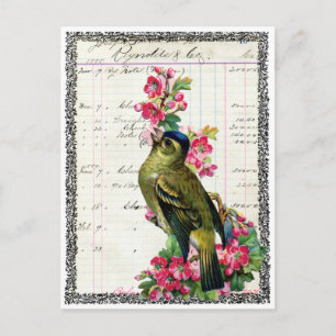 Carte postale oiseau vykort