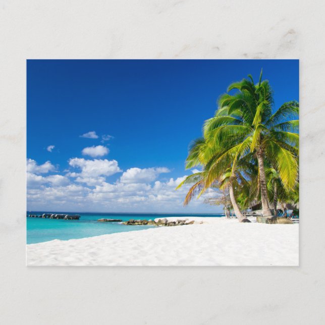Carte postale - Sous le soleil des tropiques Vykort (Framsida)