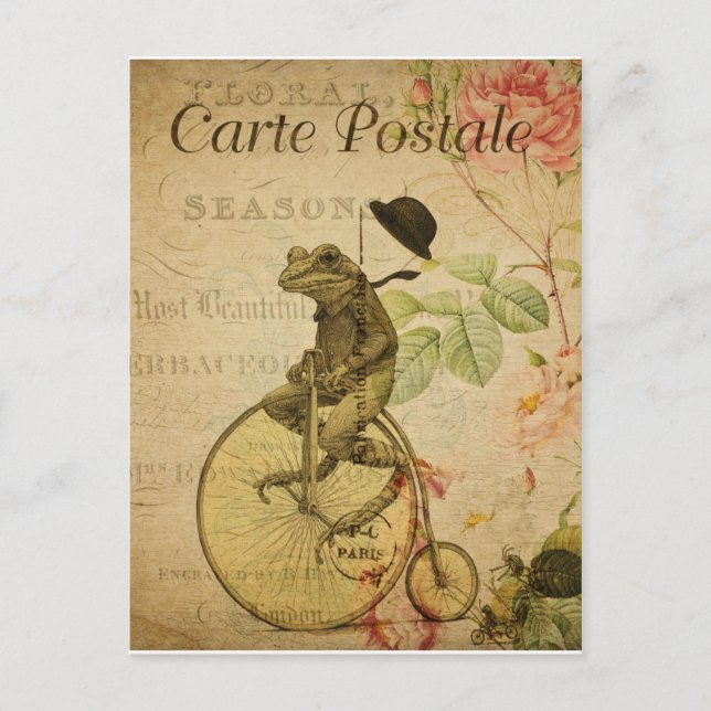 Carte postale vintage grenouille vykort (Framsida)
