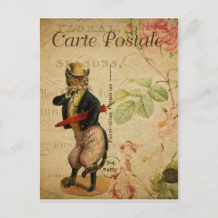Carte Postale. Vintage Katt. Vykort